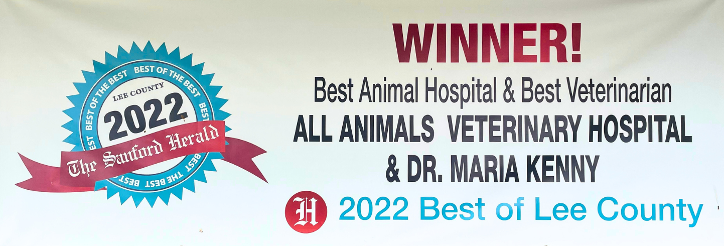 All animals veterinary store hospital